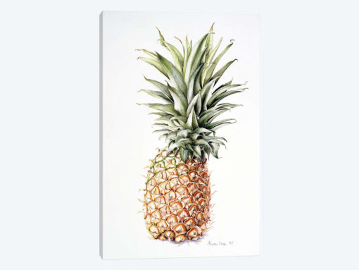 Pineapple, 1997