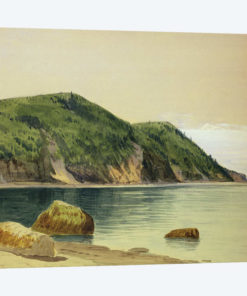 Rocky Shore