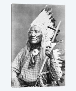 Chief Washakie