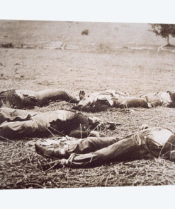 Dead on the Field of Gettysburg, July 1863