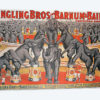 Barnum and Bailey Circus Poster