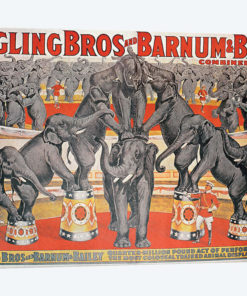 Barnum and Bailey Circus Poster