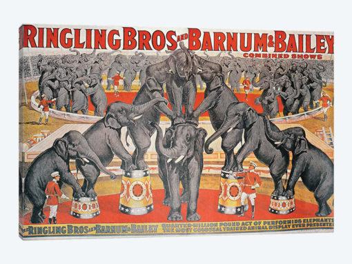 Barnum and Bailey Circus Poster