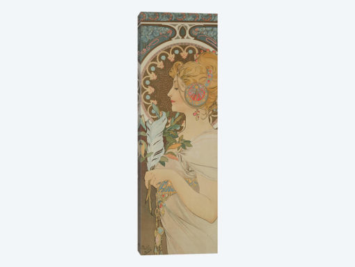 Feather, 1899