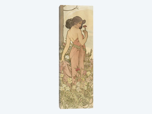 The Flowers: Carnation, 1898