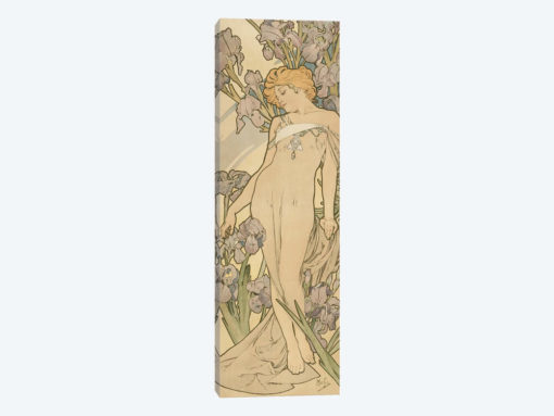 The Flowers: Iris, 1898