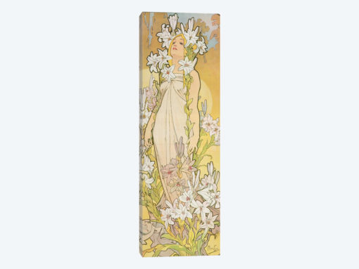 The Flowers: Lily, 1898