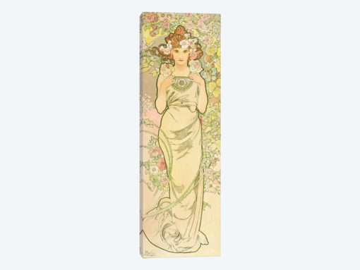 The Flowers: Rose, 1898