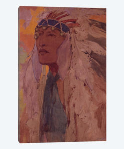 The Indian, 1904