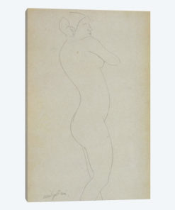 Nude Standing Girl