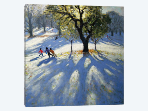 Markeaton Park, Early Snow