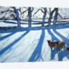 Sheep In Snow, Derbyshire