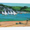 Summer Regatta, Salcombe