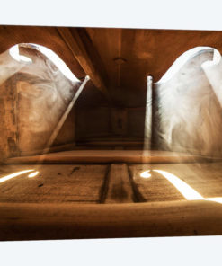 Inside Violin I