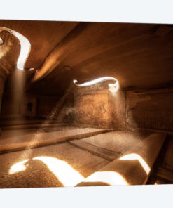Inside Violin IV