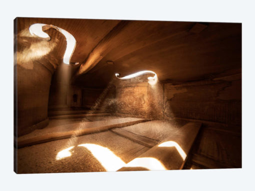 Inside Violin IV