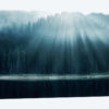 Morning Glory I