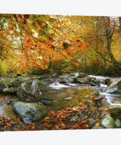 The Rusty River