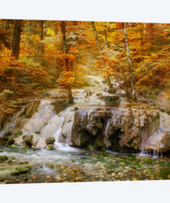 Autumn Mood