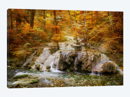 Autumn Mood