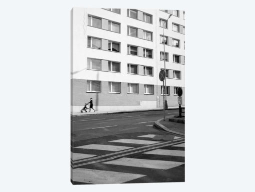 Prague Street In Black & White