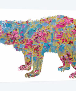 Colorful Bear