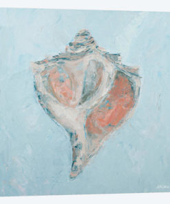 Conch & Scallop I