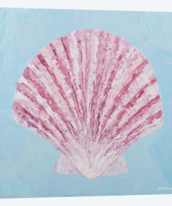 Conch & Scallop II