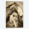 Vintage Horses