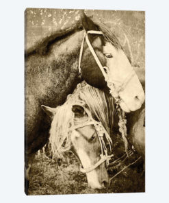 Vintage Horses