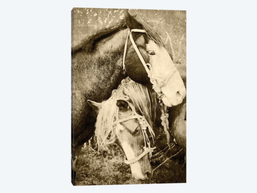 Vintage Horses