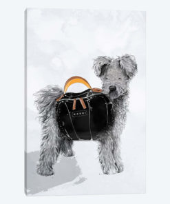 MARNI
