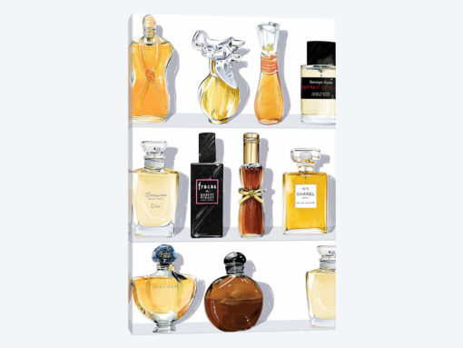 Salon, White Background