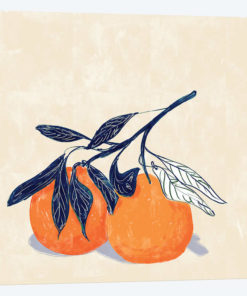 Oranges