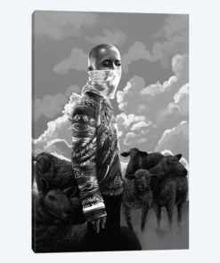 Black Sheep