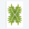 Ash Leaf Mirror