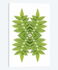 Ash Leaf Mirror