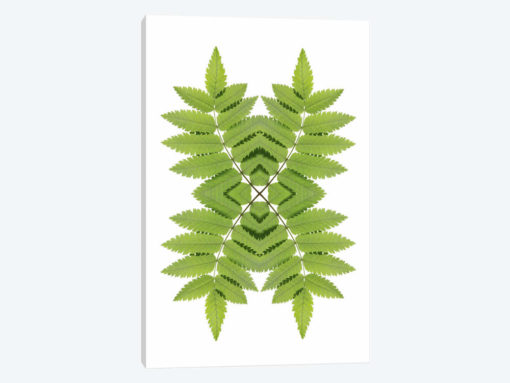 Ash Leaf Mirror