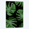 Monstera Leaves On Black