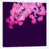 Pink Ginkgo Biloba I