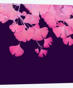 Pink Ginkgo Biloba III