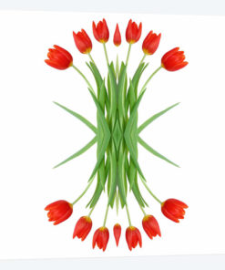 Red Tulip Mirror