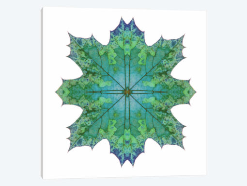 Teal Maple Leaf Star II