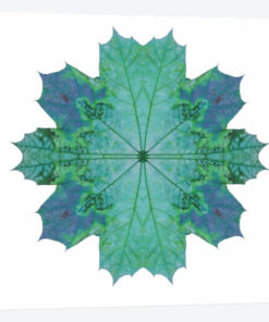 Teal Maple Leaf Star III