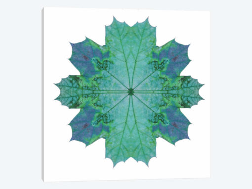 Teal Maple Leaf Star III
