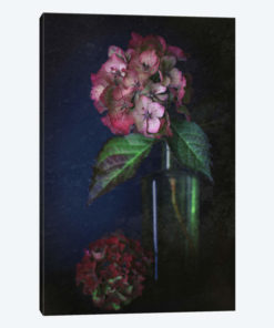 Autumnal Hydrangea