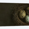 Bird's Nest And Quail Eggs Closeup