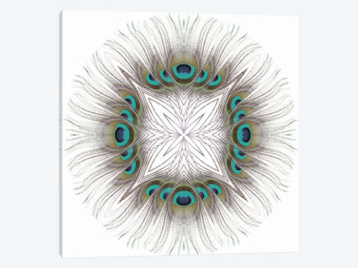 Peacock Feather Mandala