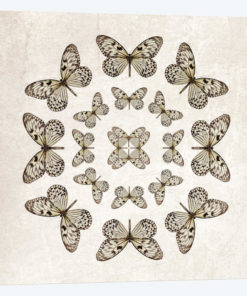 Rice Paper Butterfly Circles
