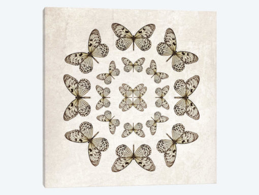 Rice Paper Butterfly Circles